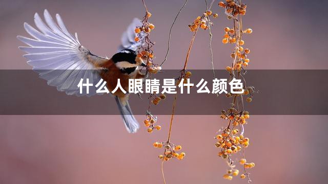什么人眼睛是什么颜色