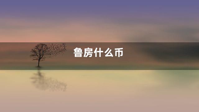 鲁房什么币