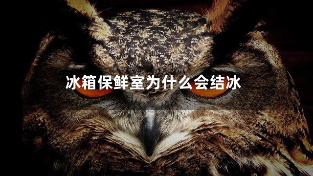 冰箱保鲜室为什么会结冰