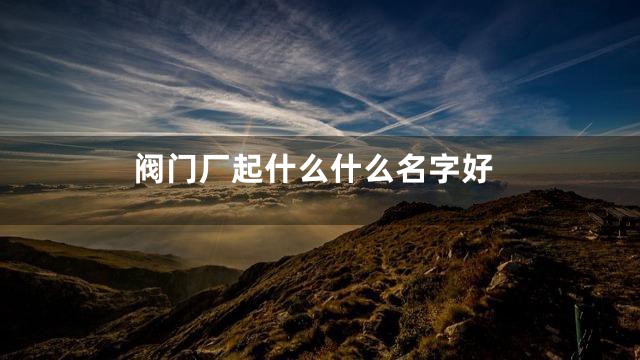 阀门厂起什么什么名字好