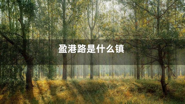 盈港路是什么镇