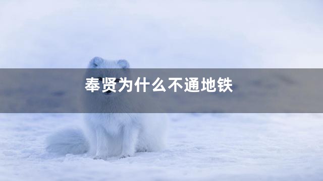 奉贤为什么不通地铁