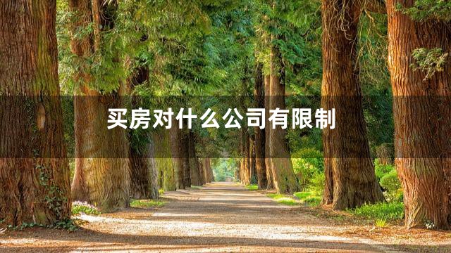 买房对什么公司有限制