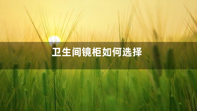 卫生间镜柜如何选择