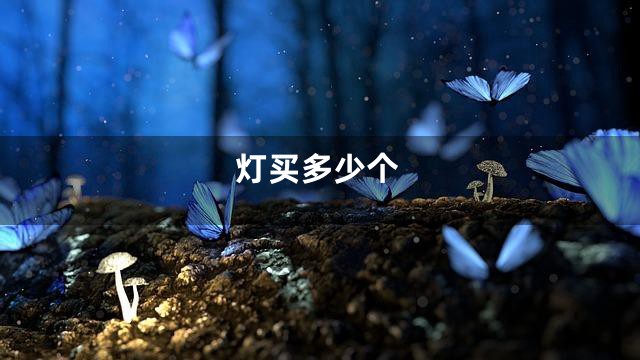 灯买多少个