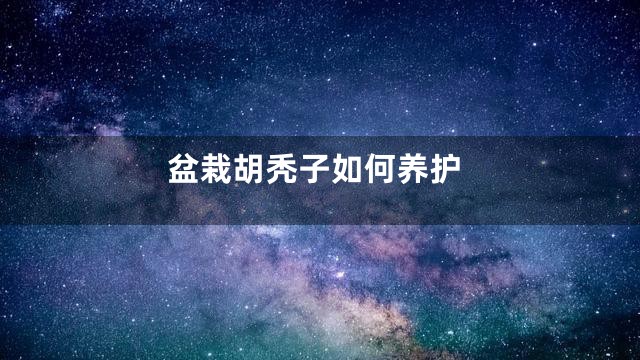 盆栽胡秃子如何养护