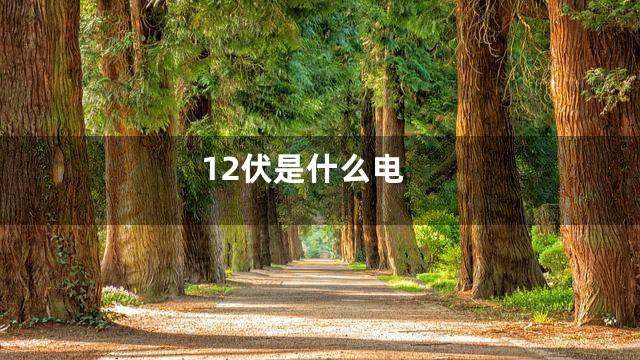 12伏是什么电