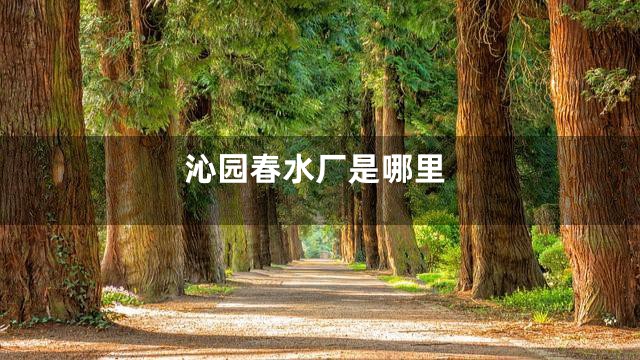 沁园春水厂是哪里