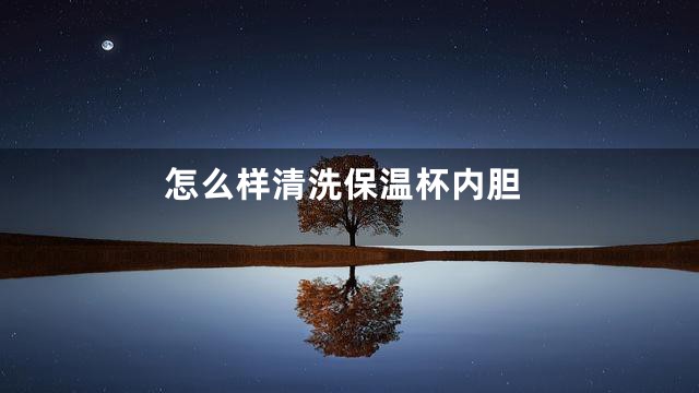 怎么样清洗保温杯内胆