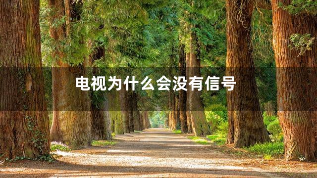 电视为什么会没有信号
