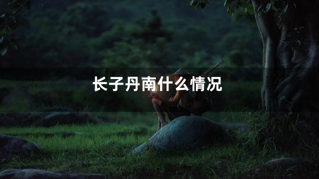 长子丹南什么情况