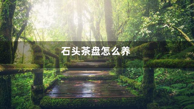 石头茶盘怎么养