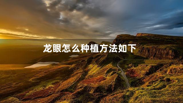龙眼怎么种植方法如下