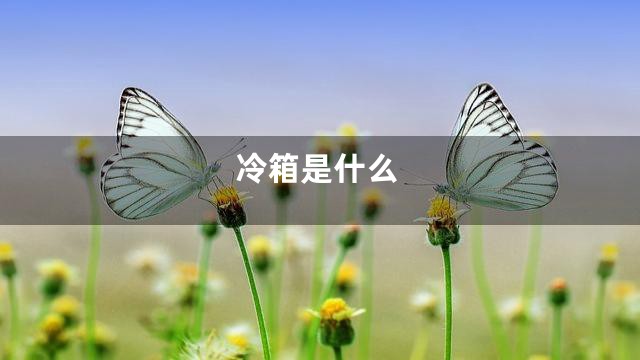 冷箱是什么