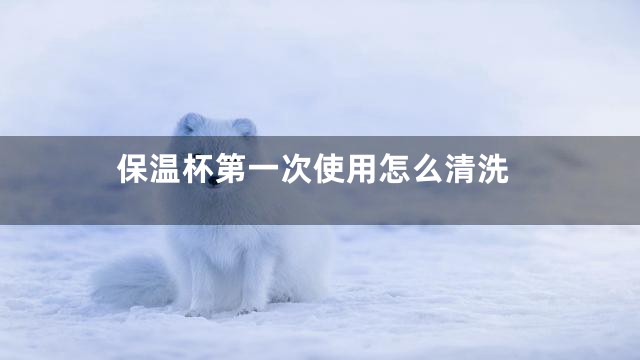 保温杯第一次使用怎么清洗