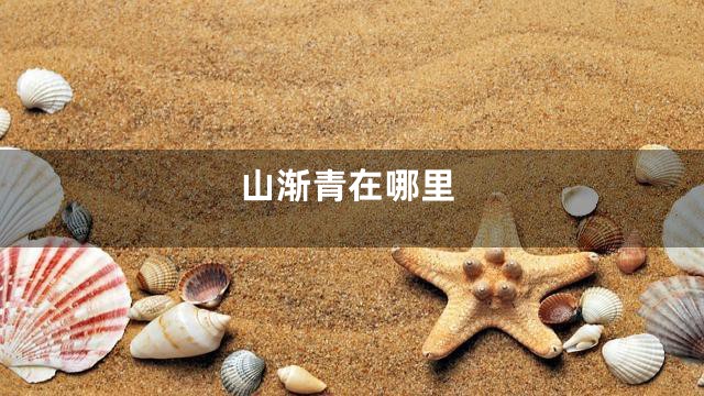 山渐青在哪里