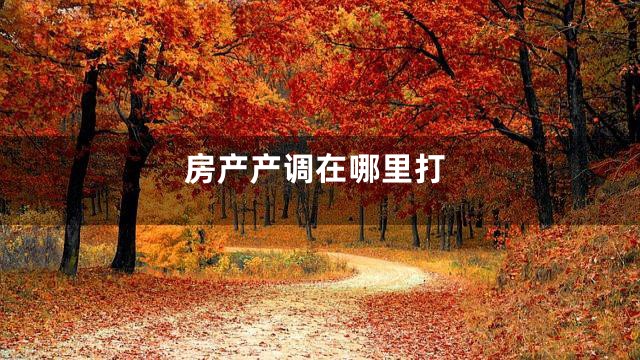 房产产调在哪里打