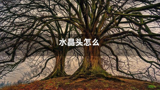 水晶头怎么