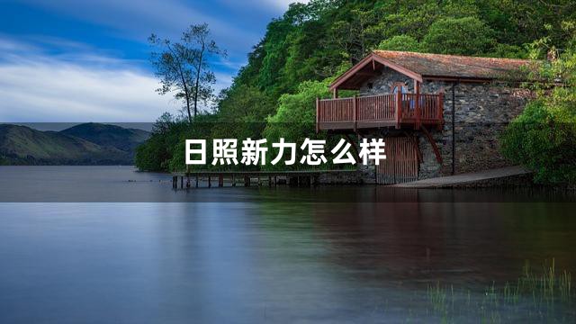 日照新力怎么样
