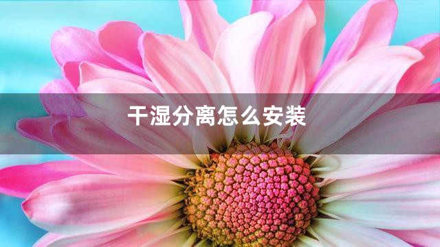 干湿分离怎么安装