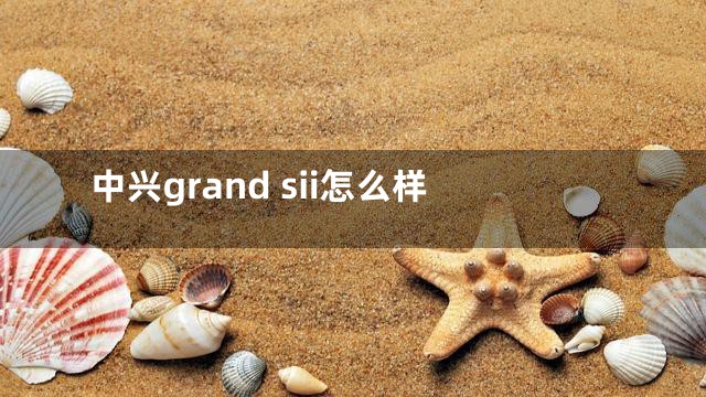 中兴grand sii怎么样