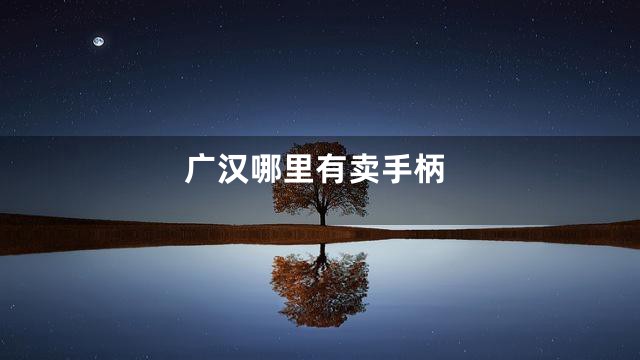 广汉哪里有卖手柄