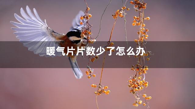 暖气片片数少了怎么办