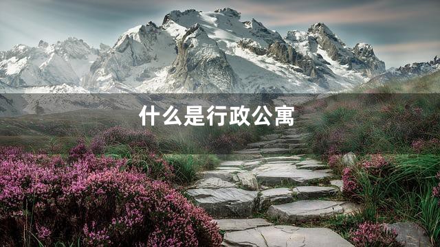 什么是行政公寓