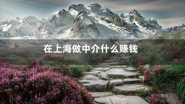 在上海做中介什么赚钱