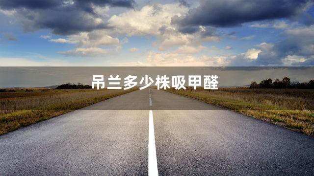 吊兰多少株吸甲醛