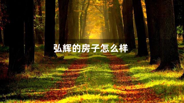 弘辉的房子怎么样