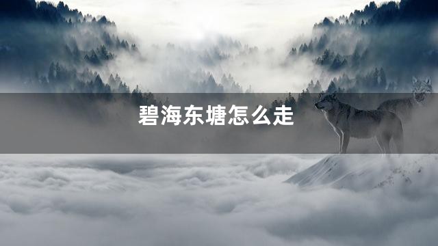 碧海东塘怎么走