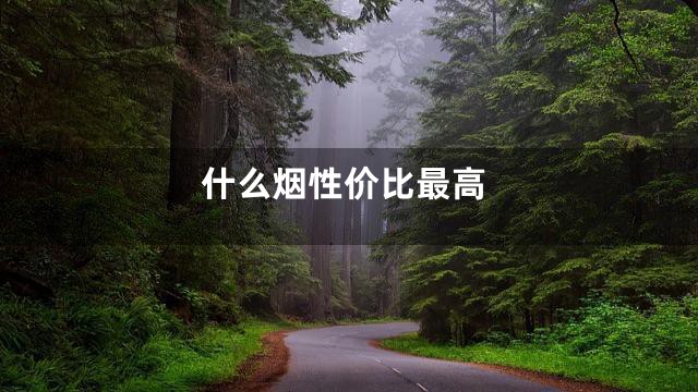 什么烟性价比最高
