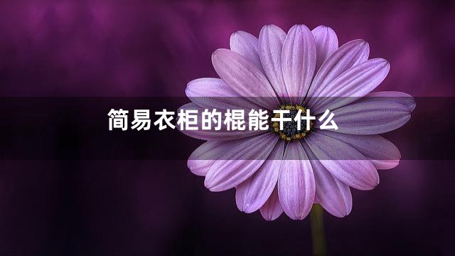 简易衣柜的棍能干什么