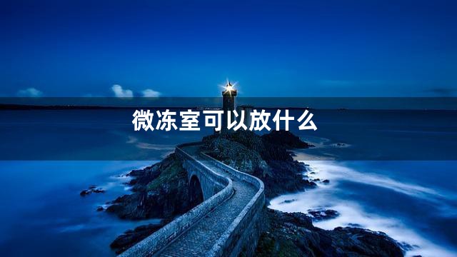 微冻室可以放什么