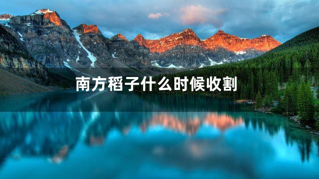 南方稻子什么时候收割