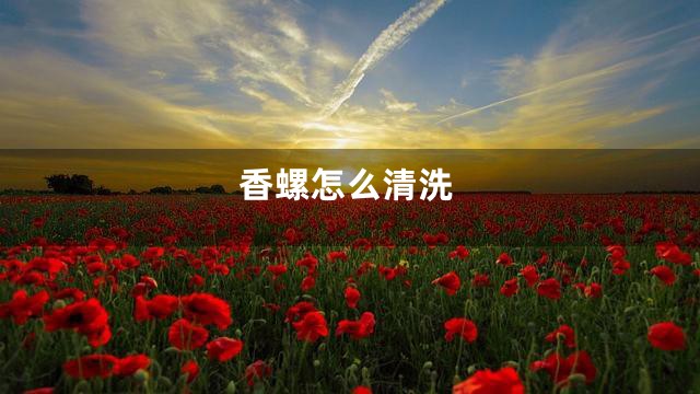 香螺怎么清洗