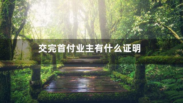 交完首付业主有什么证明