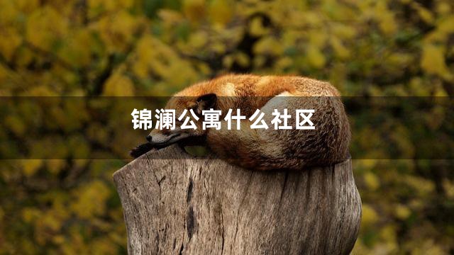 锦澜公寓什么社区