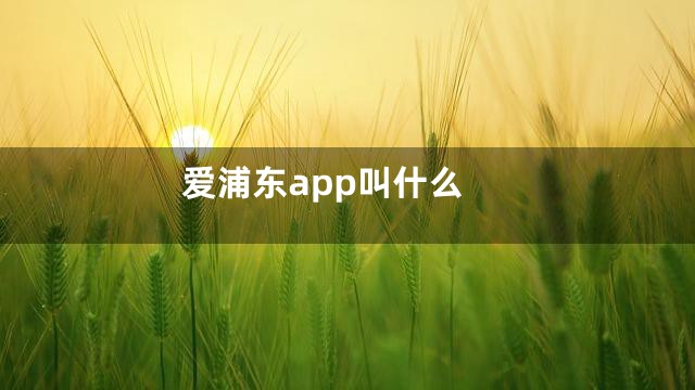 爱浦东app叫什么