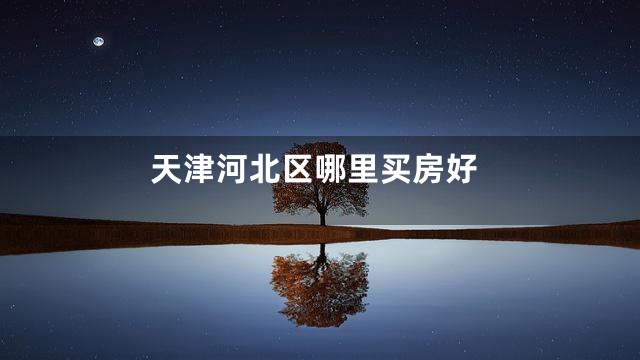 天津河北区哪里买房好