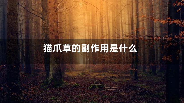 猫爪草的副作用是什么