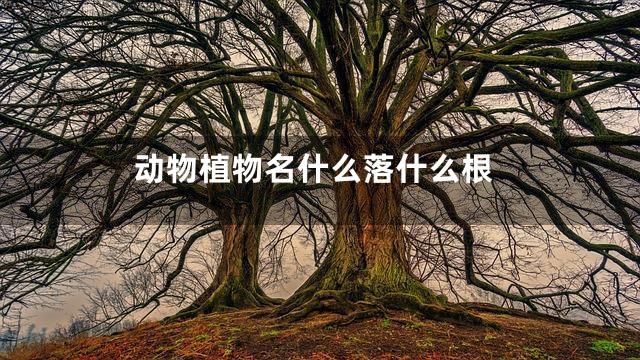 动物植物名什么落什么根
