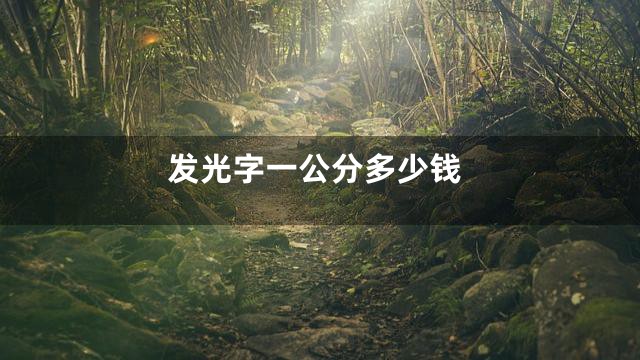 发光字一公分多少钱
