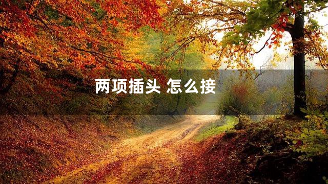 两项插头 怎么接