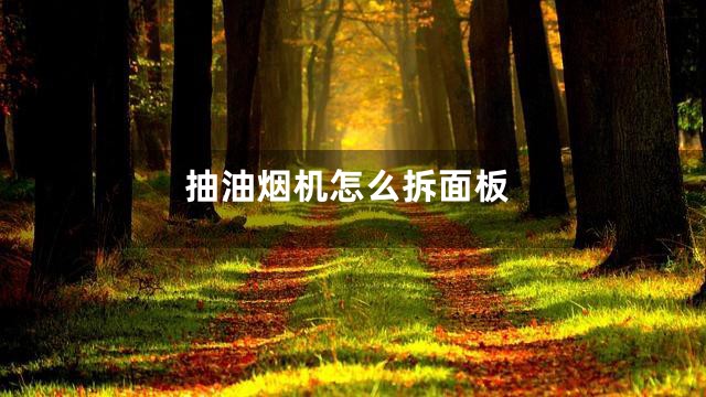 抽油烟机怎么拆面板