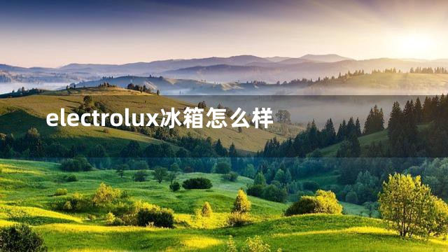 electrolux冰箱怎么样
