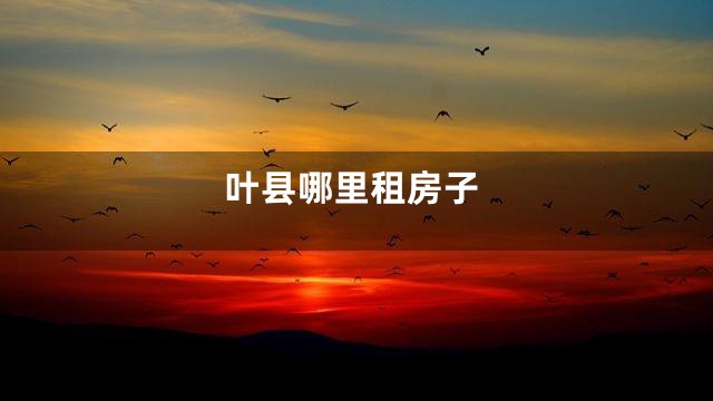 叶县哪里租房子