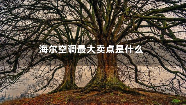 海尔空调最大卖点是什么