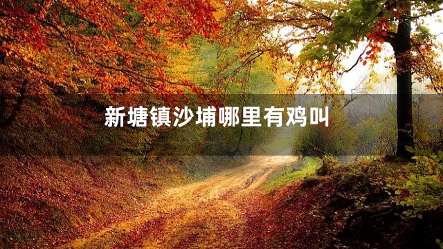 新塘镇沙埔哪里有鸡叫